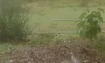 Imagem 4: Chacaras rurais em azurita