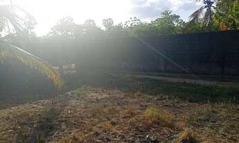 Imagem 7: Casa com terreno para vender