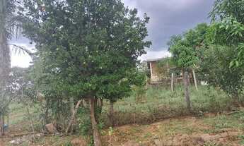 Imagem 6: Vende se Chácara com venda por R$300.000