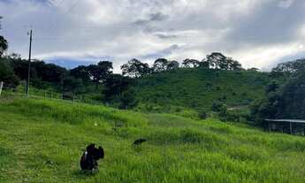 Imagem 5: Chácara 6.61 alqueires em Itapuranga