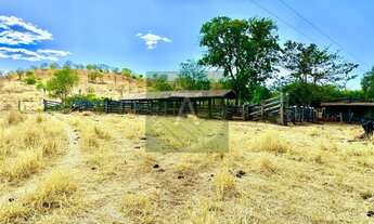 Imagem 4: Fazenda de 30 alq em Cedrolina-GO