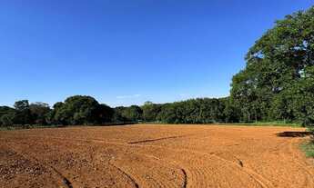 Imagem 3: Chácara próximo a Bela Vista de Goiás