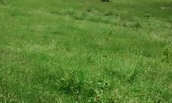 Imagem 6: Ótima fazenda em Mimoso do Sul - ES