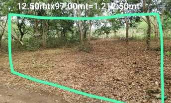 Imagem 3: CHÁCARA À VENDA 1.200M² RIO DOS BOIS MAIRIPOTABA, GO. - LAZER E PESCA