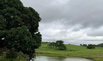 Imagem 6: Vendo ou alugo fazenda 52 alqueires