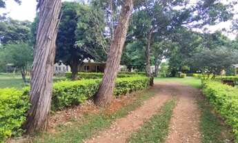 Imagem 2: Chácara 20.000 m² Formada Núcleo Rural Casa Grande Gama DF