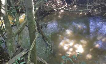 Imagem 7: Chácara 5000m² 17 km do Industrial, C/Casa, Energia, Internet e Agua Corrente, R$ 280.000