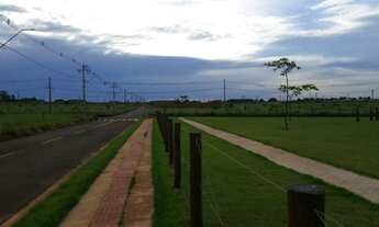 Imagem 7: Já dizia o Pedrão: - Quem compra terre não erra