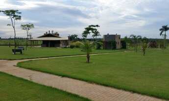 Imagem 6: Já dizia o Pedrão: - Quem compra terre não erra