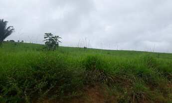 Imagem 2: Lotes na BR 163 próximo município de trairao