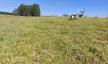 Imagem 3: Sorocaba Região 12.5 Alqueires