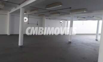 Imagem 4: Galpão - São Bernardo - Campinas