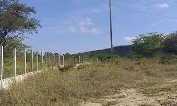 Imagem 4: Vendo área de terreno com 3 hectares na BR 232 na Cidade de Caruaru PE