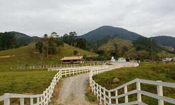 Imagem 2: Torrando fazendinha 40 hectares Sto Amaro