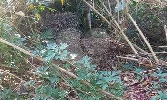 Imagem 7: Maravilhoso terreno no Alpes da Cantareira, segurança 24 horas, com academia