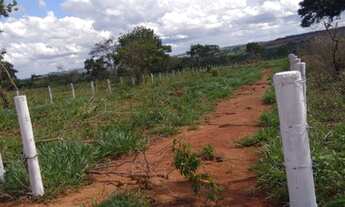 Imagem: Chácaras em Brazabrantes-GO
