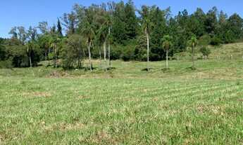 Imagem 5: 2 Hectares Com Riacho Cristalino