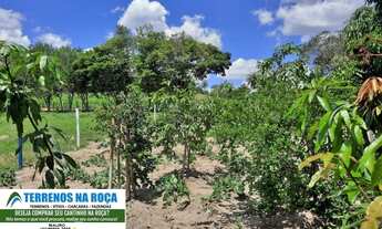 Imagem 2: Fazendinha em Florestal MG, ótimo lugar para exigentes