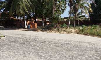 Imagem 3: Lotes/ terrenos em Fortaleza, próximo Jose Walter ,Pronto para construir