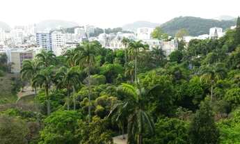 Imagem 6: 3.500.000 PARQUE GUINLE