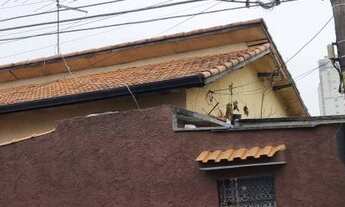 Imagem 5: **OPORTUNIDADE PARA INVESTIDORES*** TEREENO 252 M² ESQUINA COMERCIAL **