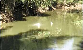 Imagem 4: Fazenda de 30 hectares em Esmeraldas com ampla área de pastagem, rica em água