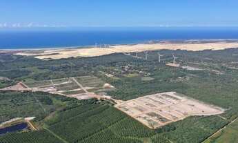 Imagem: Lotes em Praia de Flecheiras Trairi Ceará