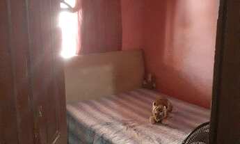 Imagem 6: Casa em São Geraldo