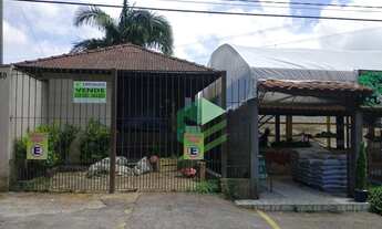 Imagem: Chácara com 2 dormitórios à venda, 3200