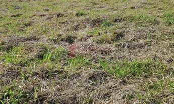 Imagem 2: Itatiba - Loteamento/Condomínio - Bairro Itapema