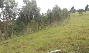 Imagem: Vende-se fazenda em Brejoes x Ubaíra