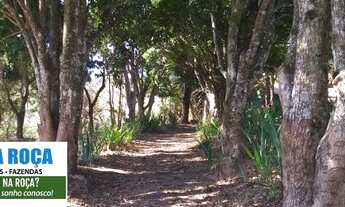 Imagem 3: Sitio em Itaguara/MG.15 mil metros. Com água corrente nos fundos. 77 km de BH