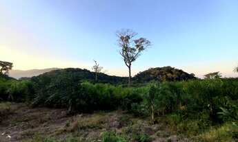 Imagem 3: Sítio 3,5 alqueires Plano ( Willian Ricardo