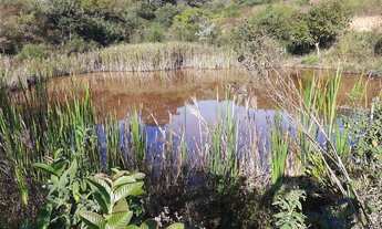 Imagem: Terreno em Piracema/MG 11 Hectares 110.000