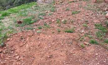 Imagem 5: Lote Campo do Pires