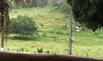 Imagem 4: Fazenda muito linda e pronta