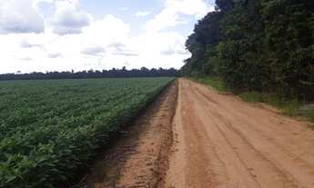 Imagem 4: Fazenda proximo Sinóp-MT