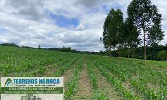 Imagem 2: Fazenda de 30 hectares em Esmeraldas com ampla área de pastagem, rica em água
