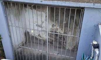 Imagem 5: Canoas - Sítio - São Luis