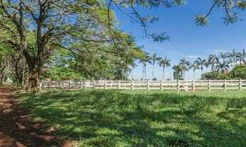 Imagem 5: Terreno - Haras Patente - Monte Alegre do Sul