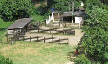 Imagem 3: Fazenda em Cordeiro RJ