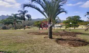 Imagem 7: Terreno a Venda no Residencial Altos da Quinta - Torrão de Ouro II