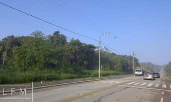 Imagem: Lotes disponível na avenida Victor Zimmerman