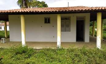 Imagem 3: Chácara no Mosqueiro