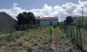 Imagem 6: Casa com um terreno pra vender