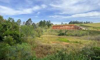Imagem 4: CAMPO BOM - Terreno Padrão - Quatro Colonias