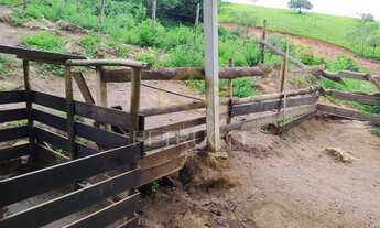 Imagem 5: Sítio - Área Rural de Pouso Alegre - Pouso Alegre