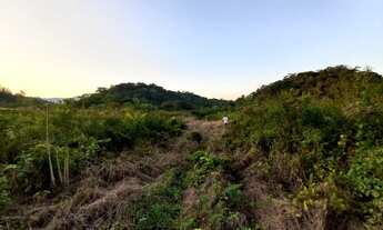 Imagem 7: Sítio 3,5 alqueires Plano ( Willian Ricardo