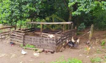 Imagem 4: Sítio - Área Rural de Pouso Alegre - Pouso Alegre