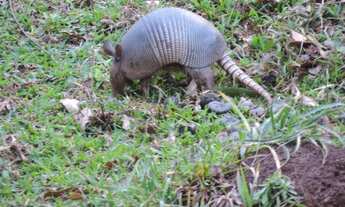 Imagem 5: Sítio em área nobre da Borrussia